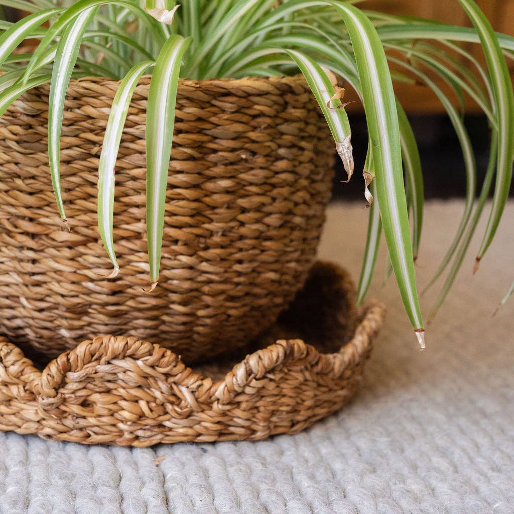Scallop Lidded Storage Basket