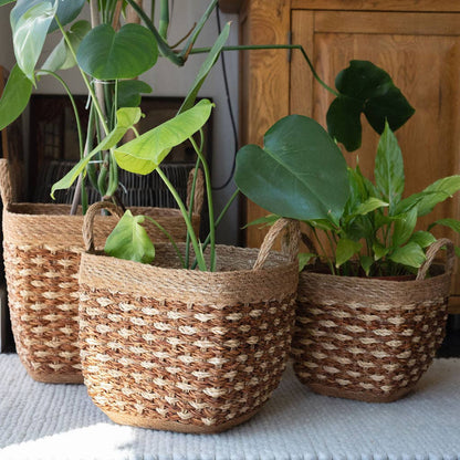 Square Seagrass Basket with Tapered Base
