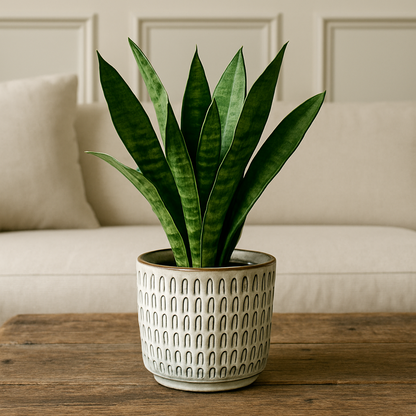 Textured Pattern Ceramic Glazed Planter